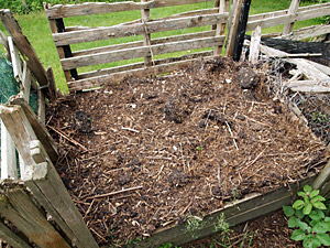 compost heap completed