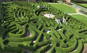 Blenheim Palace Maze