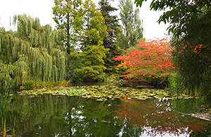 Cambridge Botanic Gardens