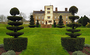 Formal Topiary Lawns