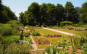 Castle Drogo Gardens