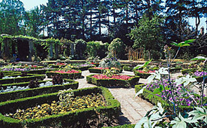 Leicester Botanic Gardens